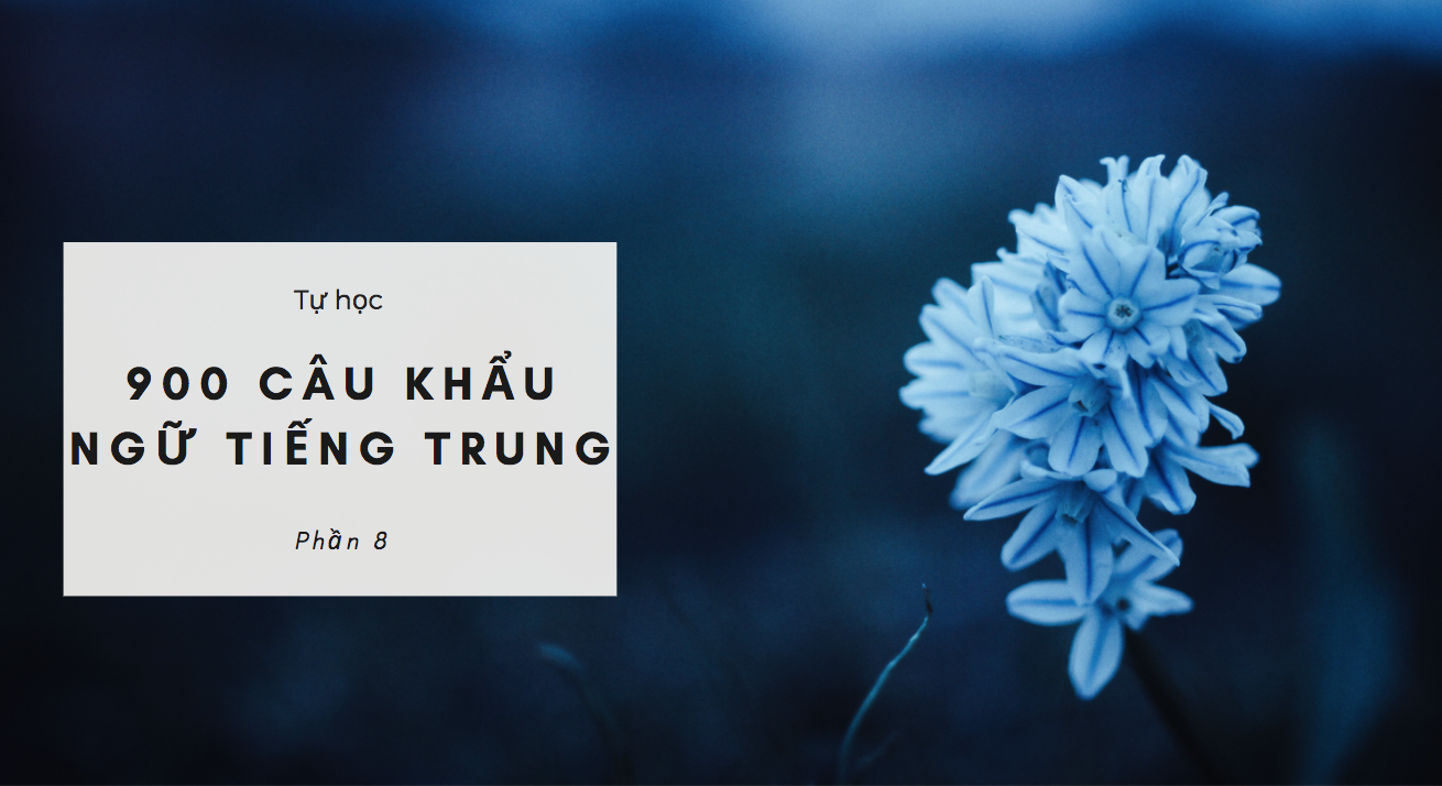 tu hoc tieng trung